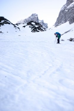 _DSC6121.jpg _DSC6121.jpg