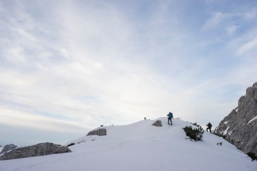 _DSC6170.jpg _DSC6170.jpg