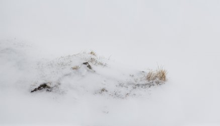 Untitled_Panorama1-4.jpg Untitled_Panorama1-4.jpg