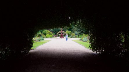 Hedge-Tunnel-Adelaide-Botanics_X1D-45P_GetDPI.jpg