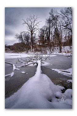 Daily Wandserings 113025-120-Edit_Original ratio_664x1000_U_100.jpg