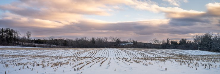 R. de Loe GFXE4973-Pano.jpg