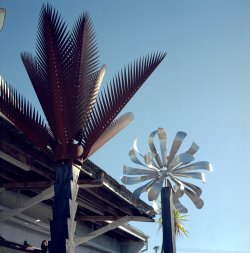 Palm-Windmill-Mapua_Rollei_Ektar.jpg