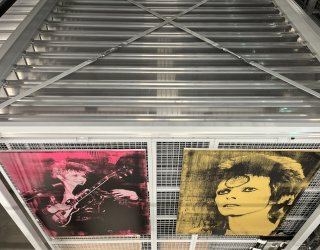 IMG_4543 copyCR1200.jpg