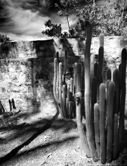 P1023624-Edit copy.jpg