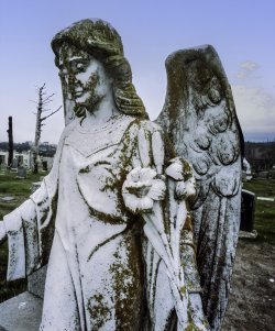 P1023606-Edit copy.jpg