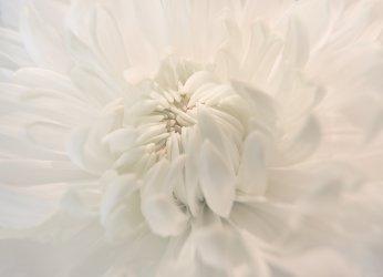 Christmas small-8.jpg