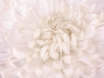 Christmas Small-10.jpg