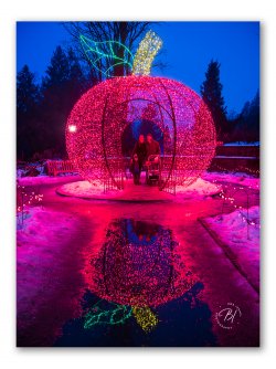 Daily Wanderings 122725-97-Edit-2_Original ratio_750x1000_U_100.jpg