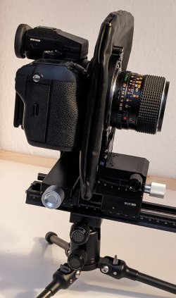 PXL_20260106_163556947~(1).jpg PXL_20260106_163556947~(1).jpg