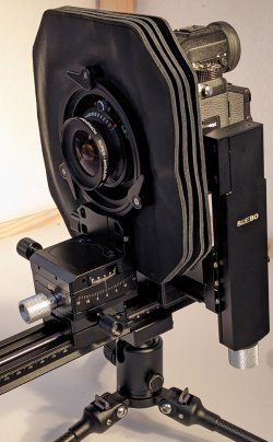 PXL_20260106_164355988~(1).jpg PXL_20260106_164355988~(1).jpg