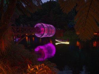 Bridge3-Festival-Lights_NP_X2D_XCD30.jpg