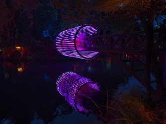 Bridge6-Festival-Lights_NP_X2D_XCD30.jpg