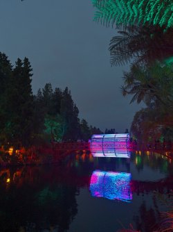 Bridge7-Festival-Lights_NP_X2D_XCD30.jpg