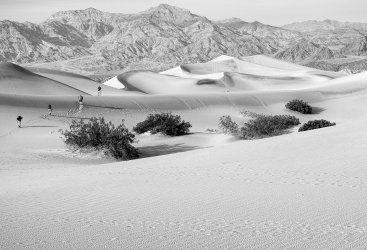 _P3M0385 Mesquite Dunes SEP-2 Crop-2 A4 paper 7_3x10_7 P2000.jpg