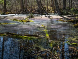 R. de Loe GFXC8085.jpg