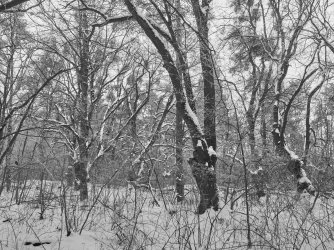 P2050220_1920x 1.jpg