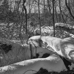 IQ Dune Acres 2.2026 CF071249.jpg