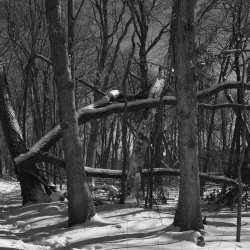 IQ Dune Acres 2.2026 CF071260.jpg