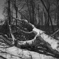 IQ Dune Acres 2.2026 CF071262.jpg