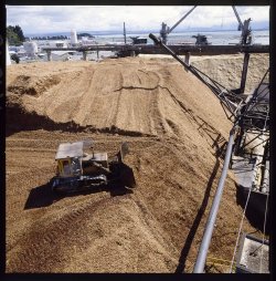 Chip-Pile.jpg Chip-Pile.jpg