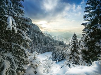 B_0011_Neuschw-2.jpg B_0011_Neuschw-2.jpg