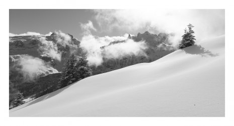 CF037558 web.jpg CF037558 web.jpg