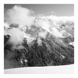 CF037548 web.jpg CF037548 web.jpg