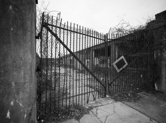 Dec 2025 - Explores - Nashua-4_Original.jpeg