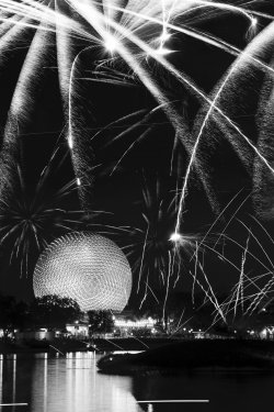 WDW jan 2026 monochrome-2_Original.jpeg