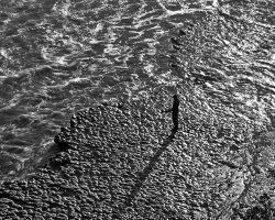 Man on the Reef 4x5 1000p-2.jpg