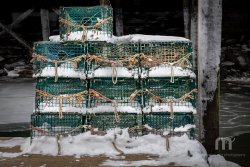 L1000028_CL_RMR_Jan_2018_FB-2.jpg L1000028_CL_RMR_Jan_2018_FB-2.jpg