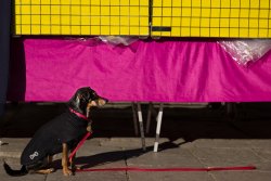 L1000427.jpg L1000427.jpg