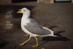 L1000429.jpg L1000429.jpg