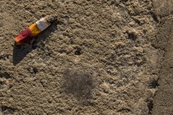 L1000503.jpg L1000503.jpg