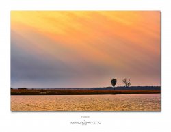 _DSC5639-FrameShop 1.jpg