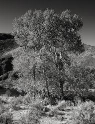 river canyon sentinel.jpg