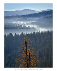 Glacier Point Road Yosemite 2020.jpg