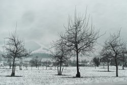 06.12.20_Lauerz-snow_0004.jpg