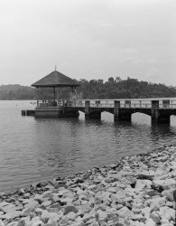 pierce.jpg pierce.jpg