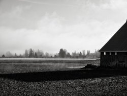 barn shadow and mist.jpg