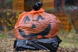 _DSC0091 JPG 85mm f1_4 P2000.jpg