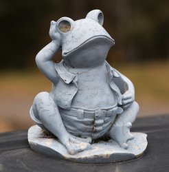 _DSC0088 RAW AIS 85_1.4 lens Cropped P2000.jpg