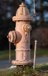 _DSC1856 RAW AIS 135mm f2 Hydrant P1800.jpg
