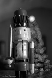 AC3C6916-CD10-4960-A4FB-C981A79E6601.jpeg AC3C6916-CD10-4960-A4FB-C981A79E6601.jpeg