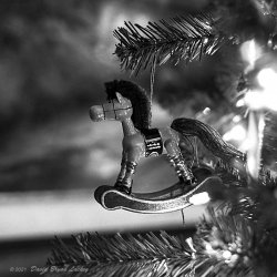 E7DA0C8D-1B29-4DCF-8D40-A2FB66325799.jpeg E7DA0C8D-1B29-4DCF-8D40-A2FB66325799.jpeg