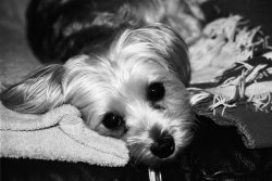 66BA719C-33F6-48F9-AC70-58D0922FC025.jpeg 66BA719C-33F6-48F9-AC70-58D0922FC025.jpeg