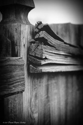 FBB70E1A-14F1-495E-BA2F-44BC628C8CD6.jpeg FBB70E1A-14F1-495E-BA2F-44BC628C8CD6.jpeg