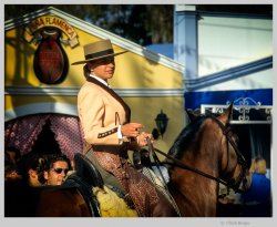 01 - Feria del Caballo Pferde hell 1200.jpg