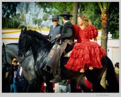 02 - Feria del Caballo Pferde hell 1200.jpg 02 - Feria del Caballo Pferde hell 1200.jpg